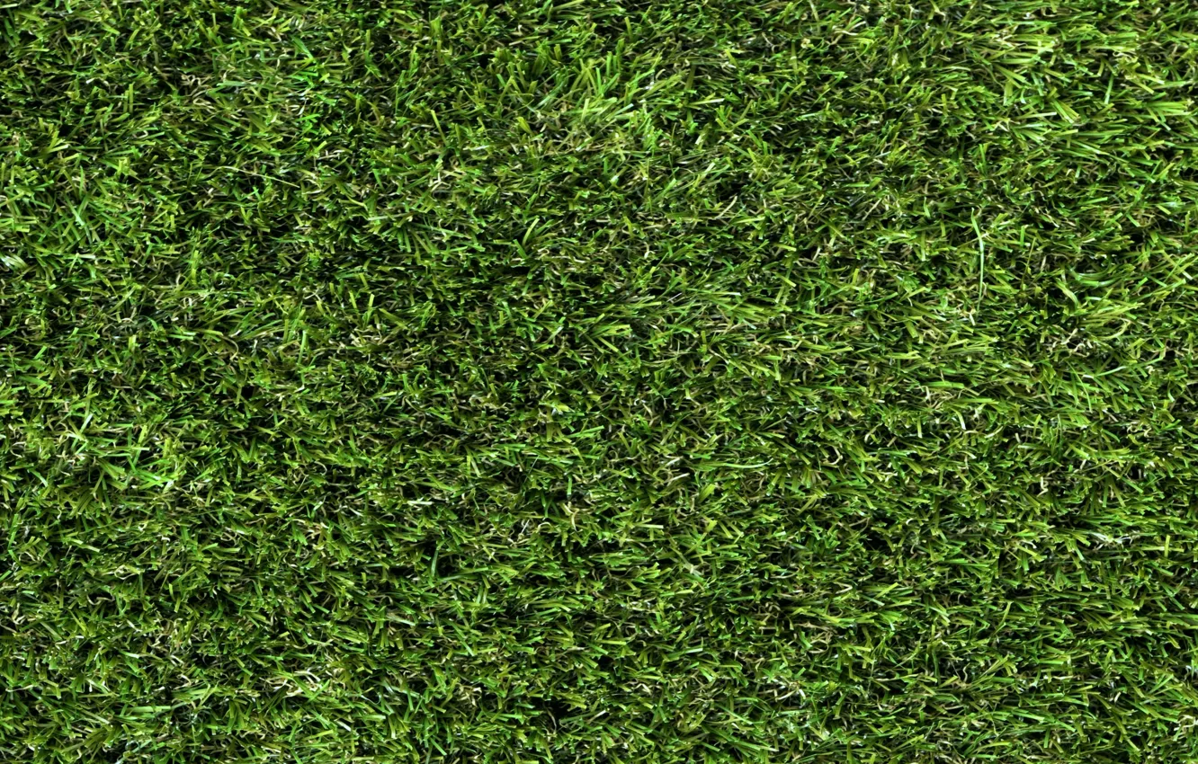 Photo wallpaper greens, grass, lawn