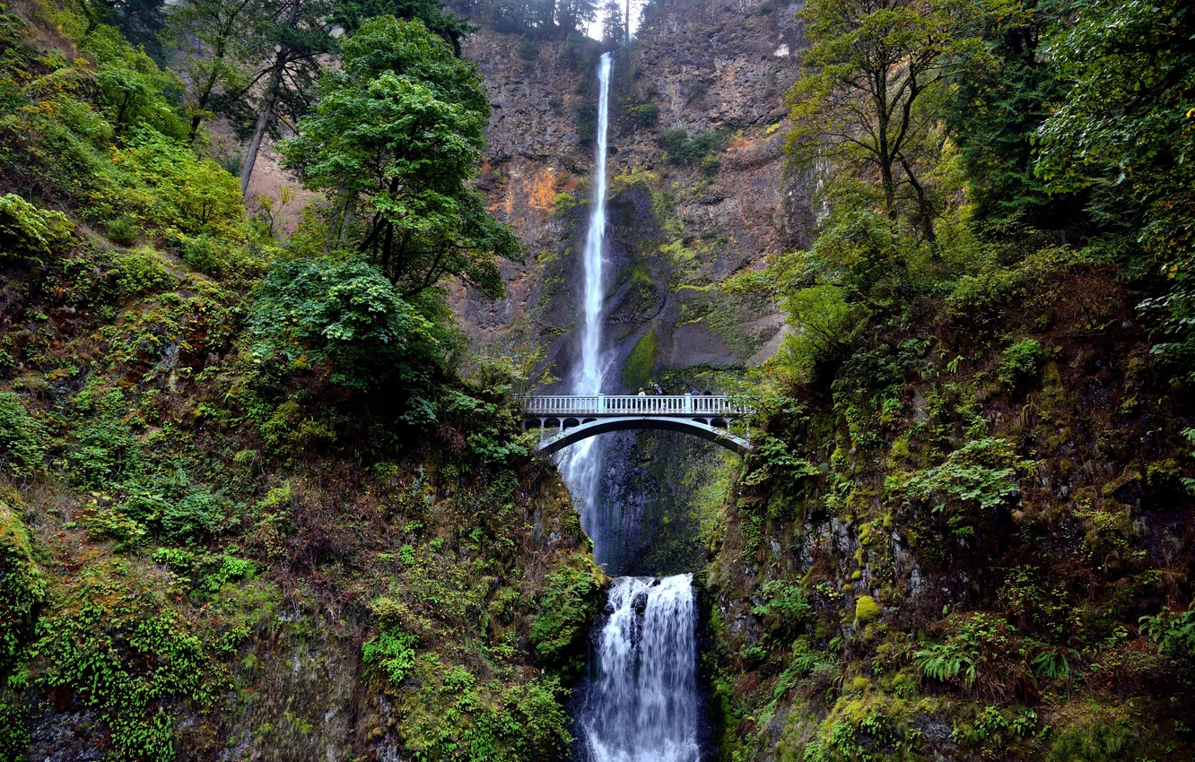 Photo wallpaper bridge, rocks, waterfall, USA, Oregon, Columbia River, Benson Bridge, Multnomah Falls