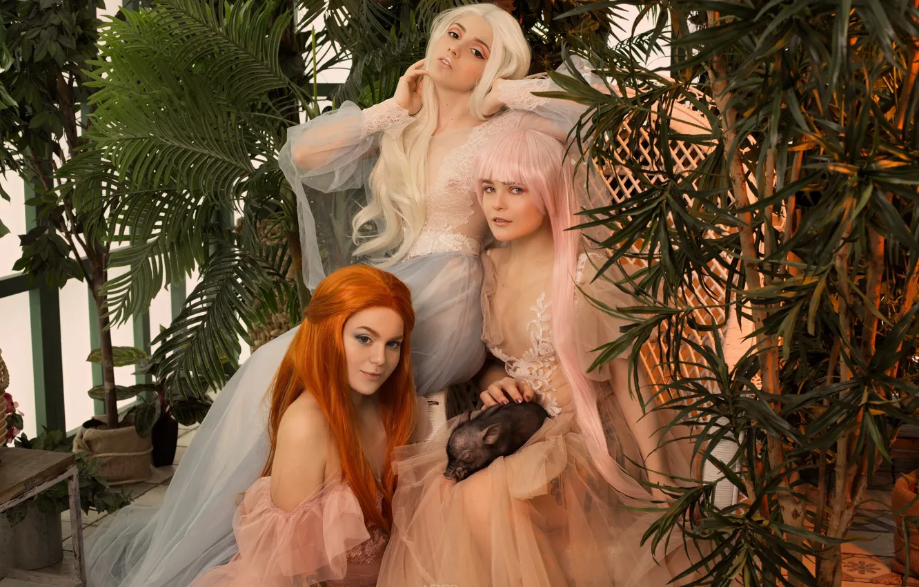 Photo wallpaper chest, girl, wig, photoshoot, pig, nymph, strimers, Olyashaa