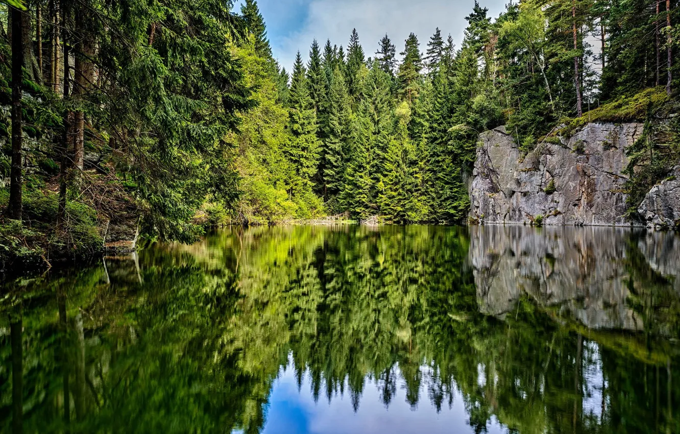 Photo wallpaper forest, lake, reflection, tree