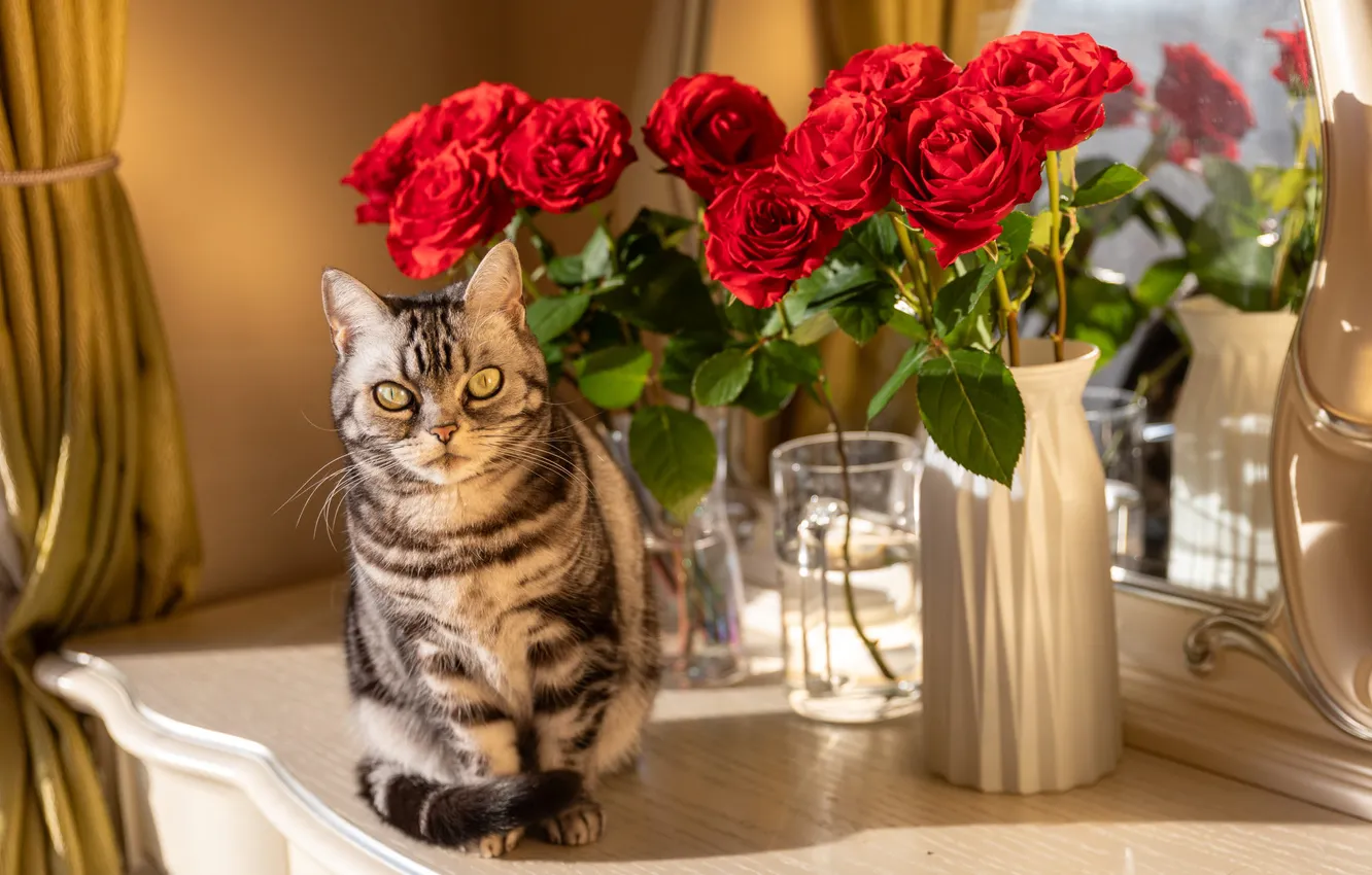 Photo wallpaper cat, cat, look, light, flowers, red, glass, pose