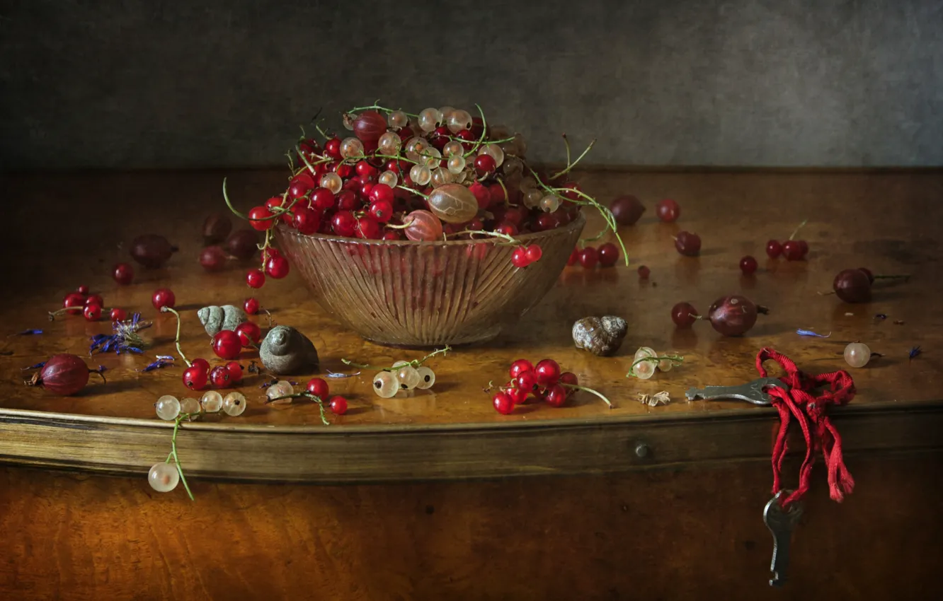 Photo wallpaper key, gooseberry, shell, berries, currants