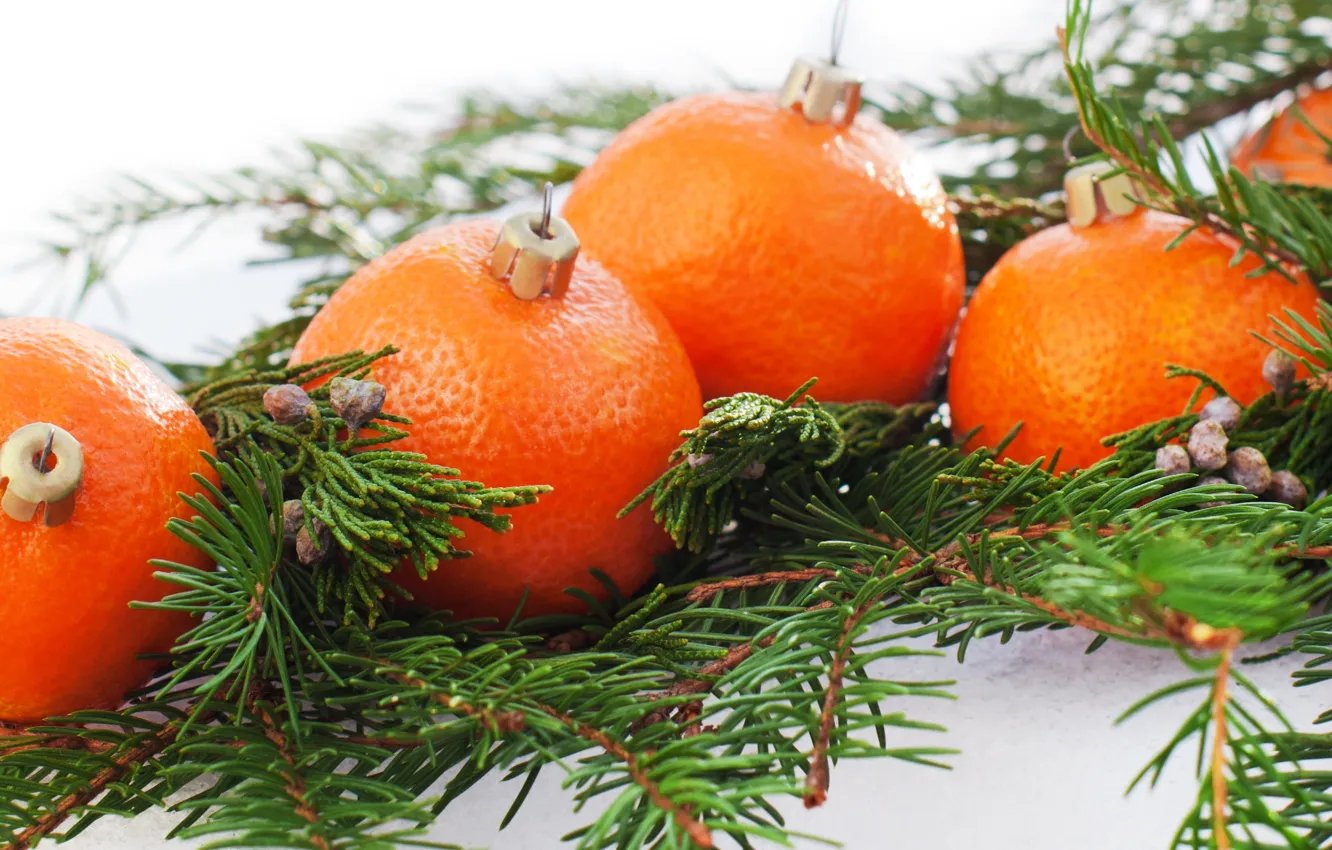 Photo wallpaper holiday, new year, citrus, tangerines, fir-tree branches