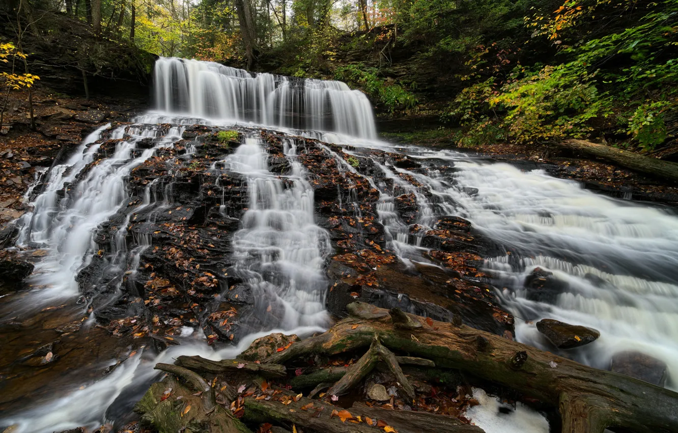 Photo wallpaper autumn, forest, waterfall, PA, cascade, Pennsylvania, Ricketts Glen State Park, State Park Ricketts Glen