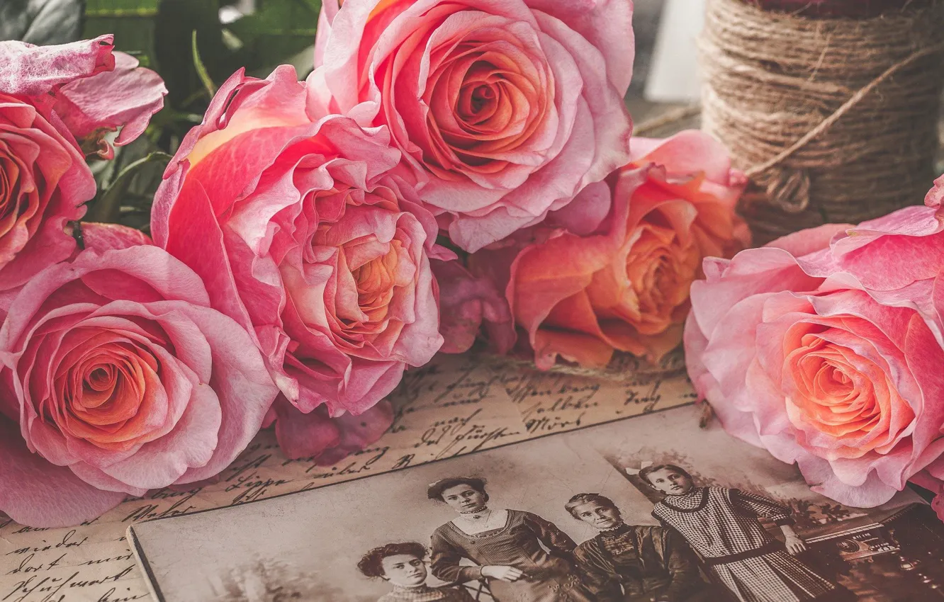 Photo wallpaper retro, roses, pink, vintage, nostalgia