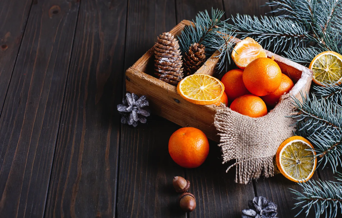 Photo wallpaper branches, Board, new year, Christmas, fruit, box, needles, bumps