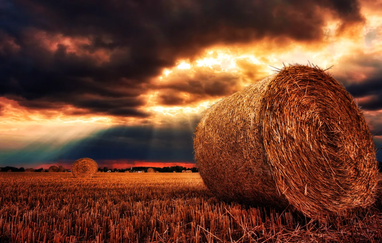 Photo wallpaper summer, the sky, landscape, nature, harvest, panorama, straw, gold