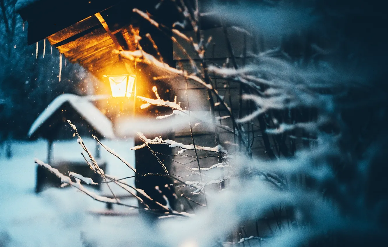 Photo wallpaper winter, light, snow, branches, nature, house, lantern