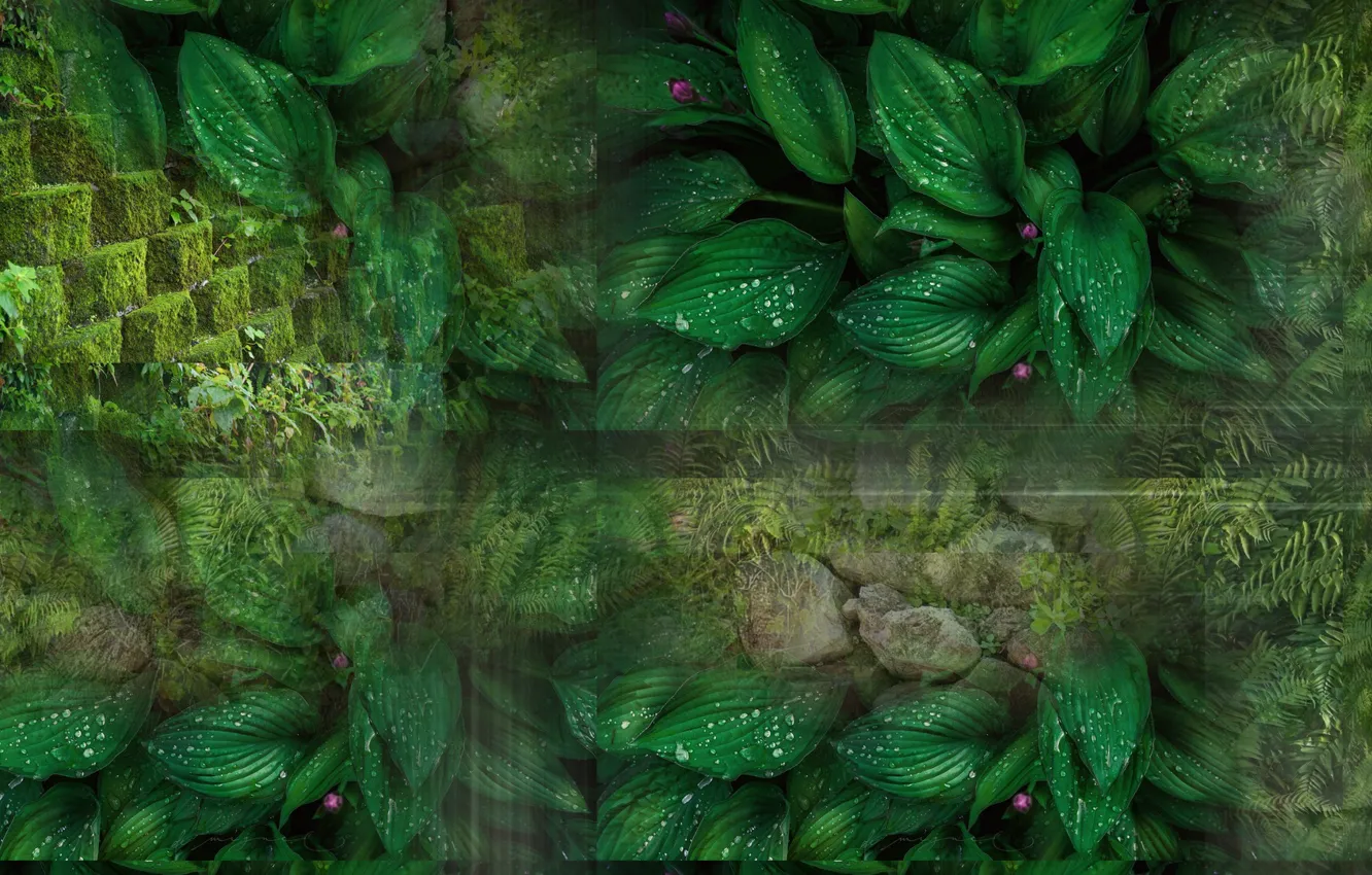 Photo wallpaper abstraction, texture, different