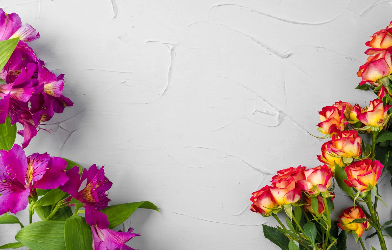 Photo wallpaper flowers, background, roses, alstomeria