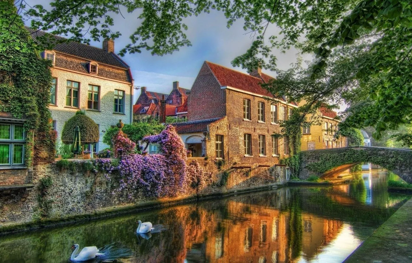Photo wallpaper bridge, home, channel, Belgium, swans, Bruges, Flanders