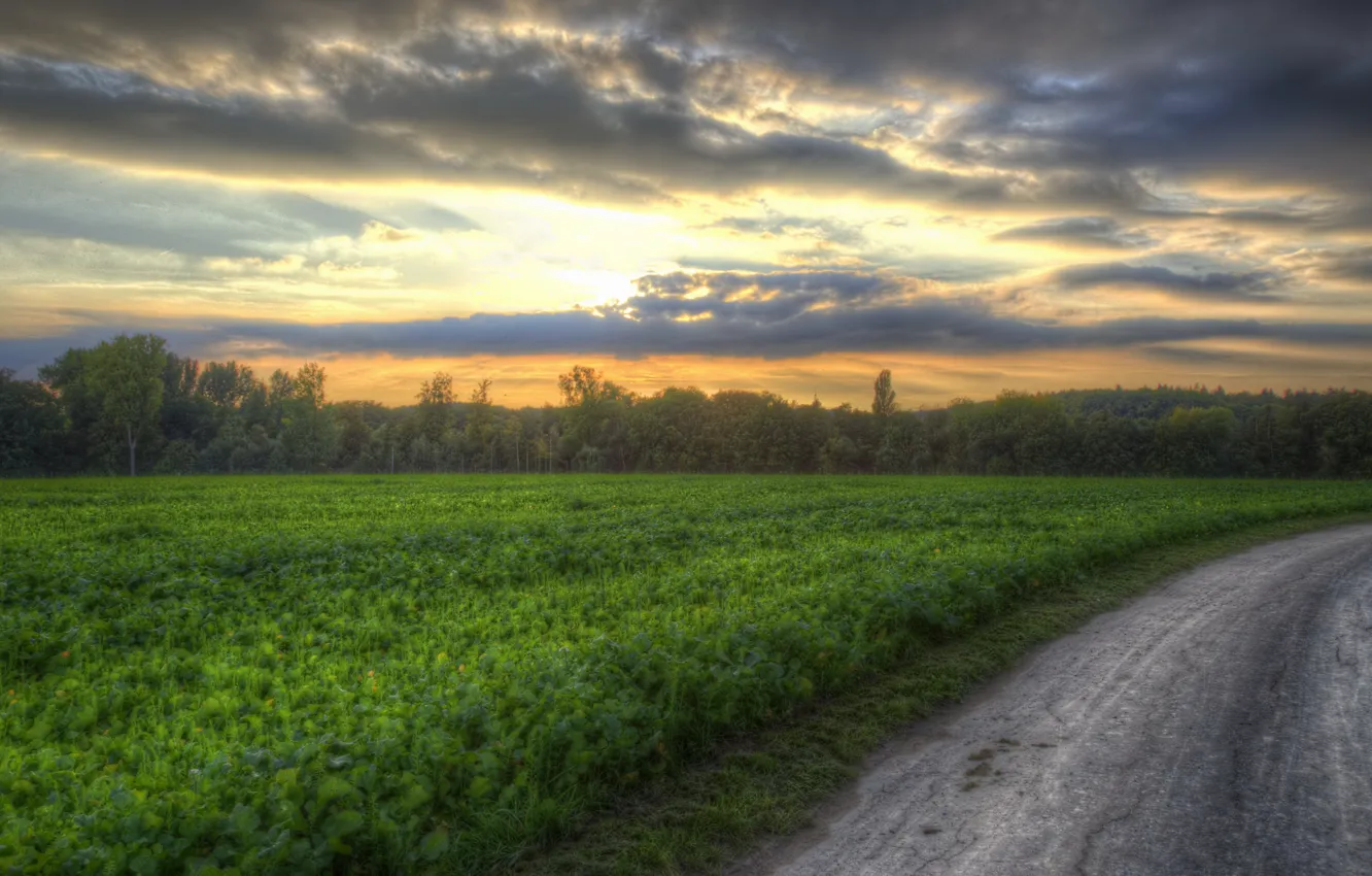 Photo wallpaper road, field, sunset