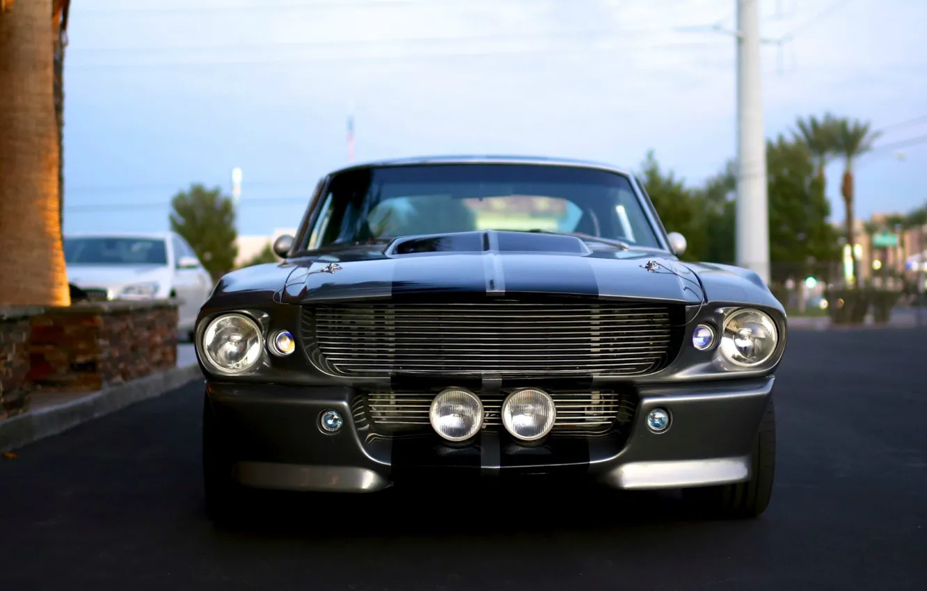Photo wallpaper Mustang, Ford, Shelby, Ford, Mustang, Eleanor, GT 500, Grey-Black