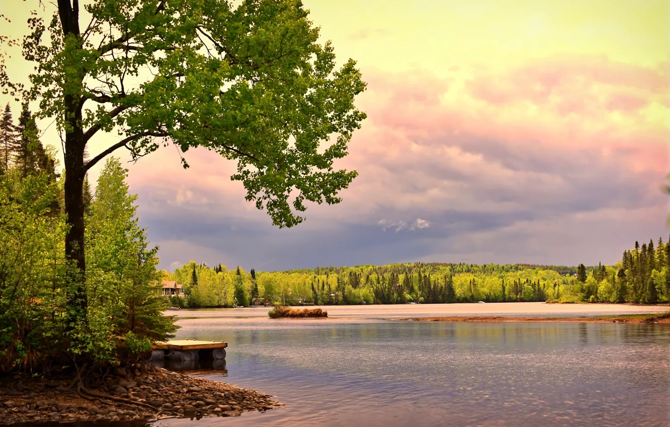 Photo wallpaper forest, trees, landscape, sunset, nature, lake, stones, shore