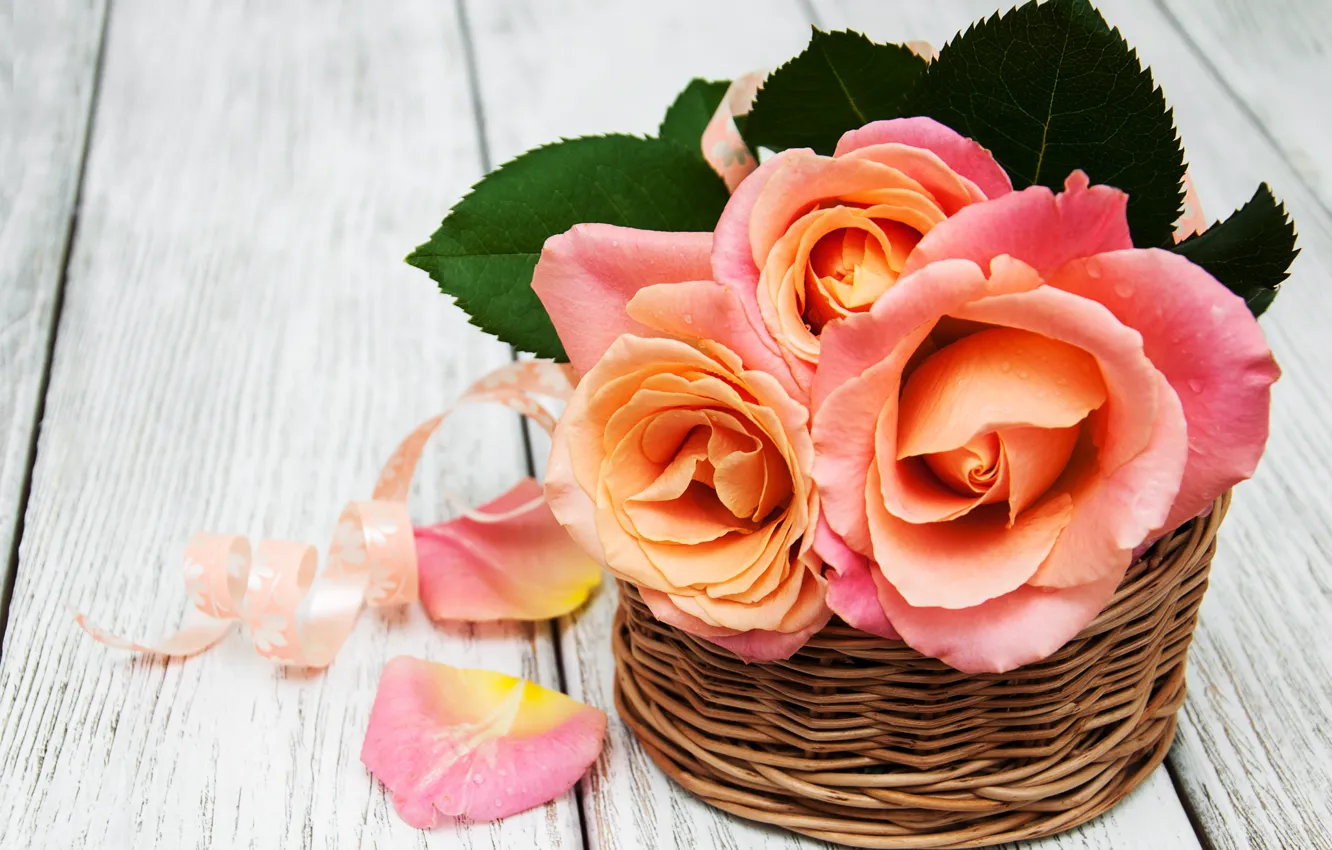 Photo wallpaper basket, roses, buds, Olena Rudo