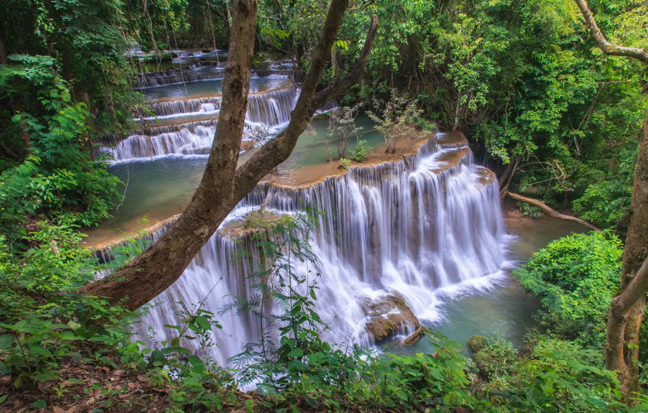 Photo wallpaper forest, landscape, river, rocks, waterfall, summer, forest, tropical