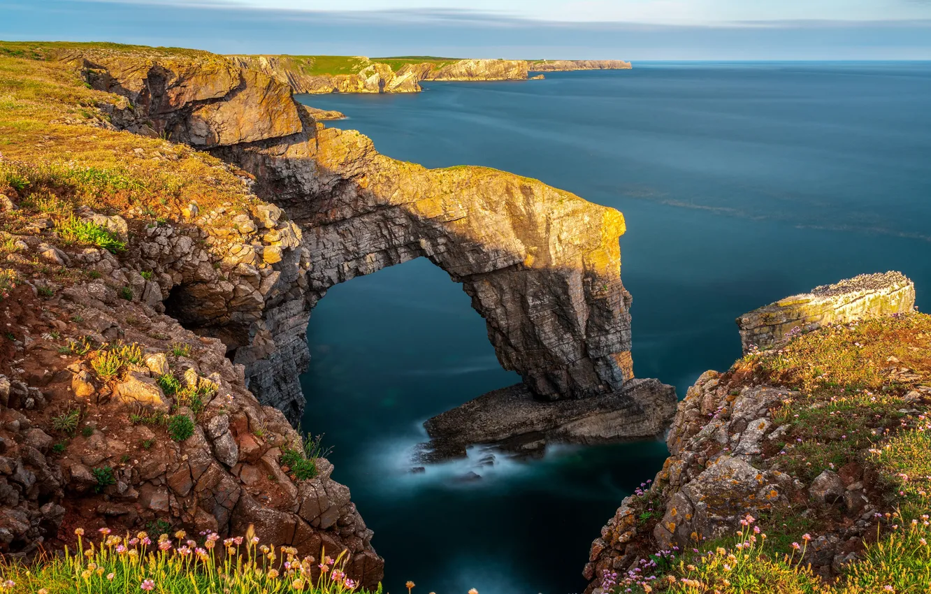 Photo wallpaper sea, the sky, grass, the sun, flowers, stones, rocks, coast