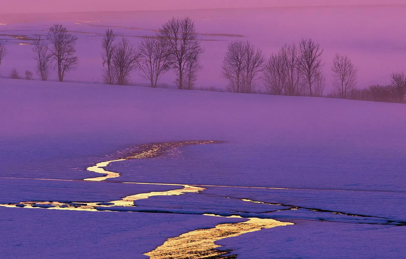 Photo wallpaper winter, field, snow, trees, sunset, Switzerland
