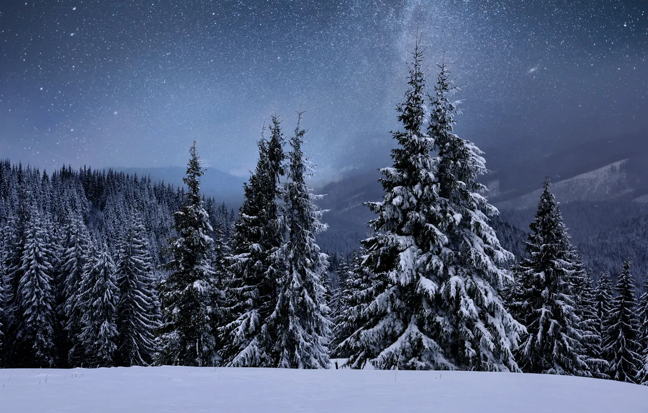 Photo wallpaper winter, snow, trees, landscape, mountains, tree, forest, landscape