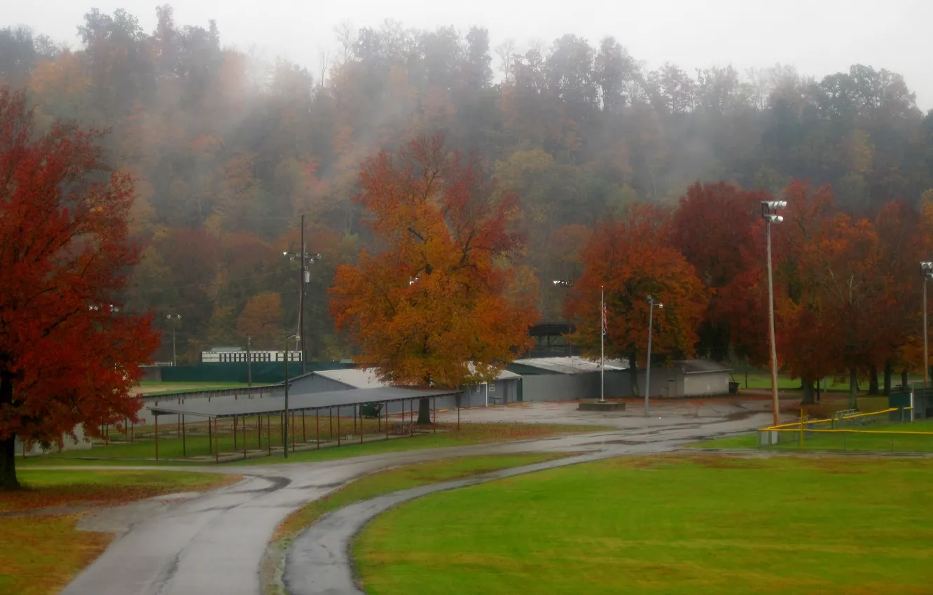 Photo wallpaper Road, Fog, Autumn, Trees, Rain, Fall, Autumn, Rain