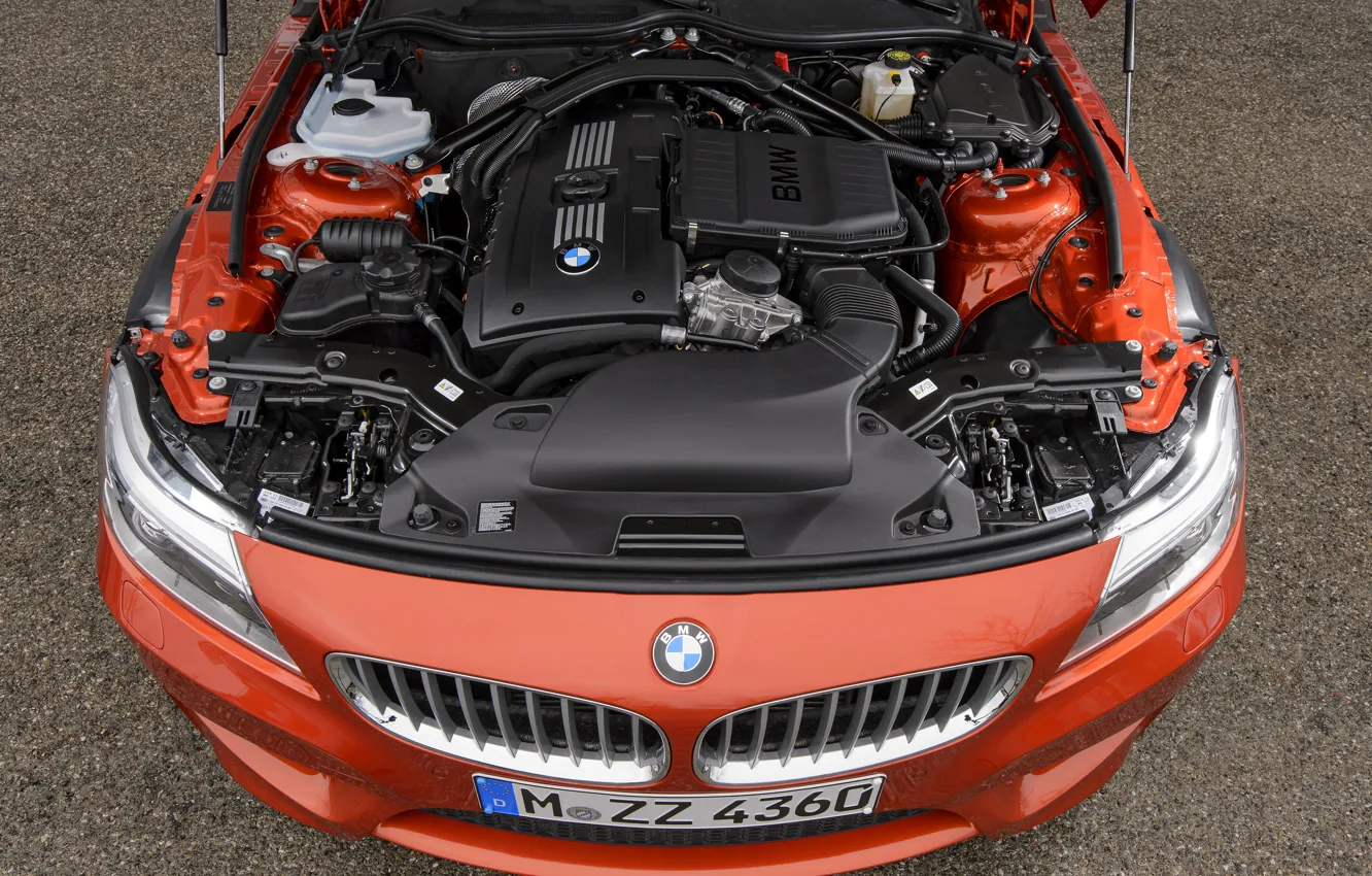 Photo wallpaper engine, BMW, Roadster, grille, 2013, E89, BMW Z4, Z4