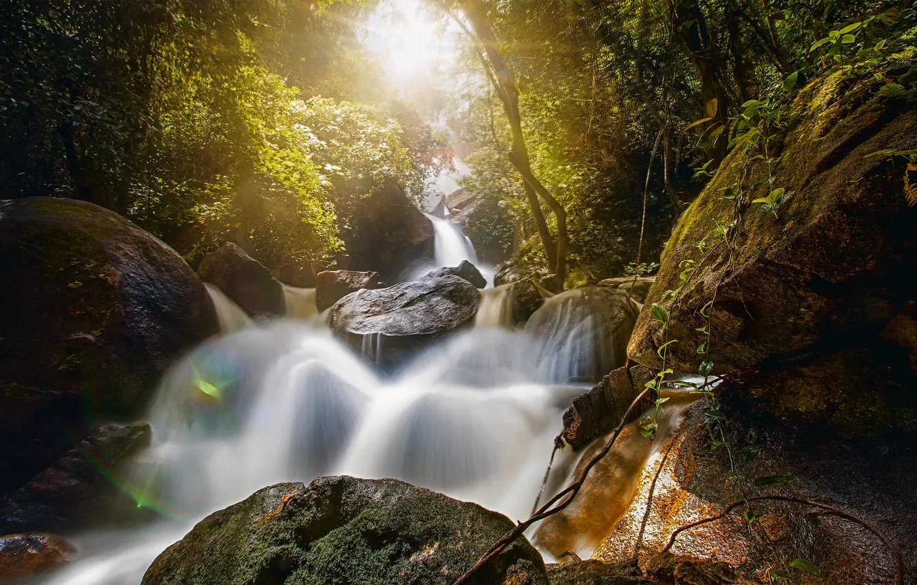 Photo wallpaper forest, stones, waterfall, Brazil, boulders, Brazil, Pernambuco, Pernambuco