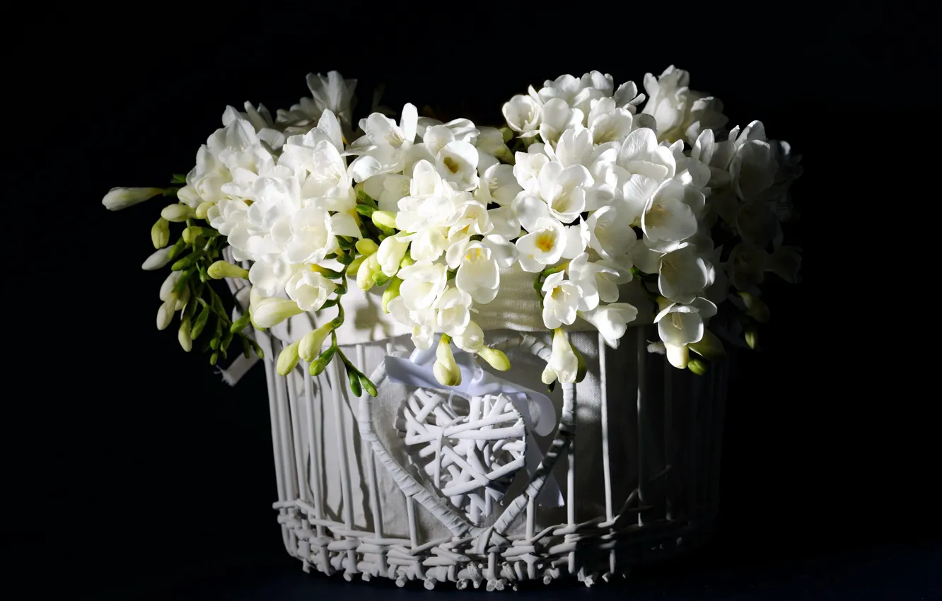Photo wallpaper bouquet, black background, white flowers, freesia