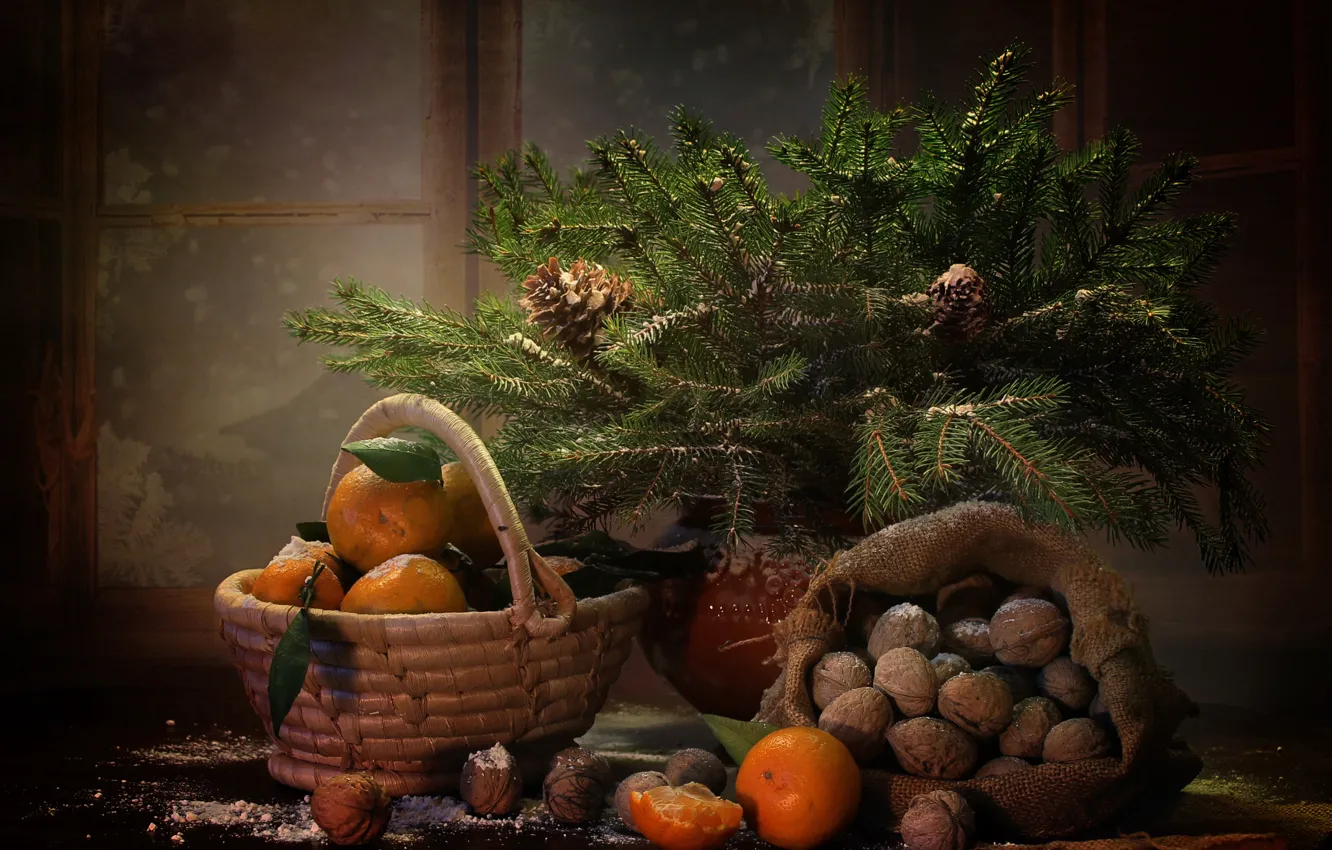 Photo wallpaper winter, branches, basket, new year, spruce, window, tree, fruit