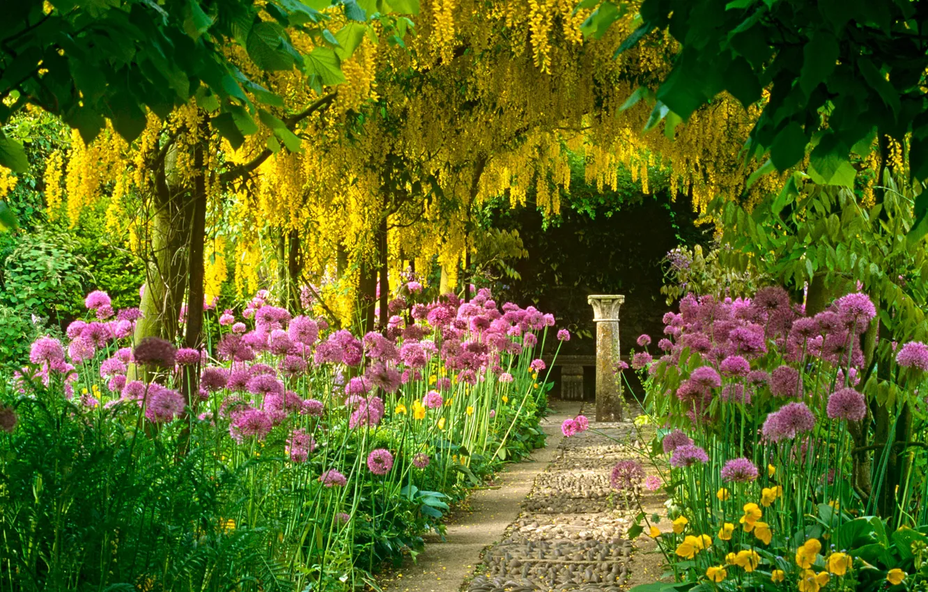 Photo wallpaper flowers, garden, track, columns, acacia