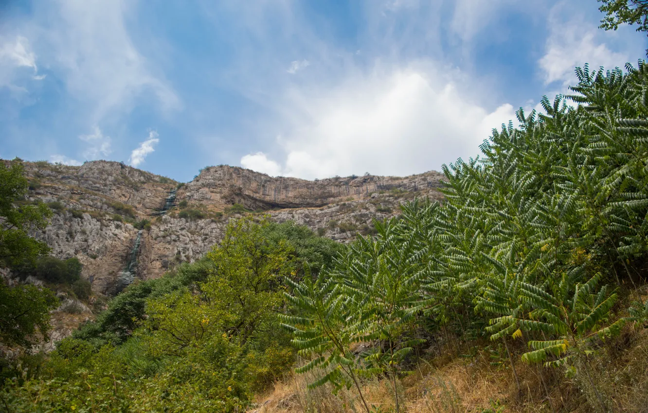 Photo wallpaper trees, mountains, fern, Artsakh