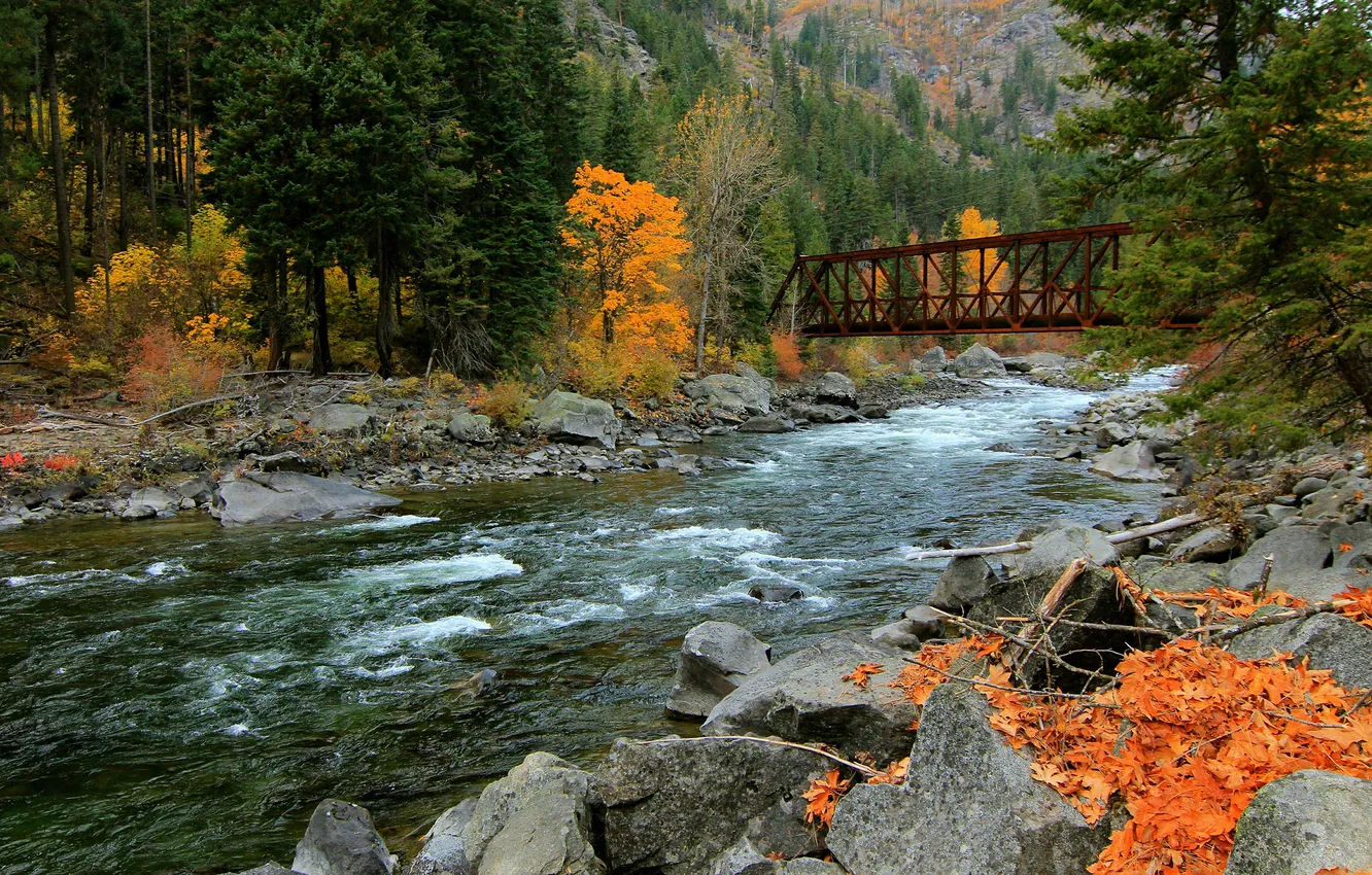 Photo wallpaper autumn, forest, mountains, bridge, river