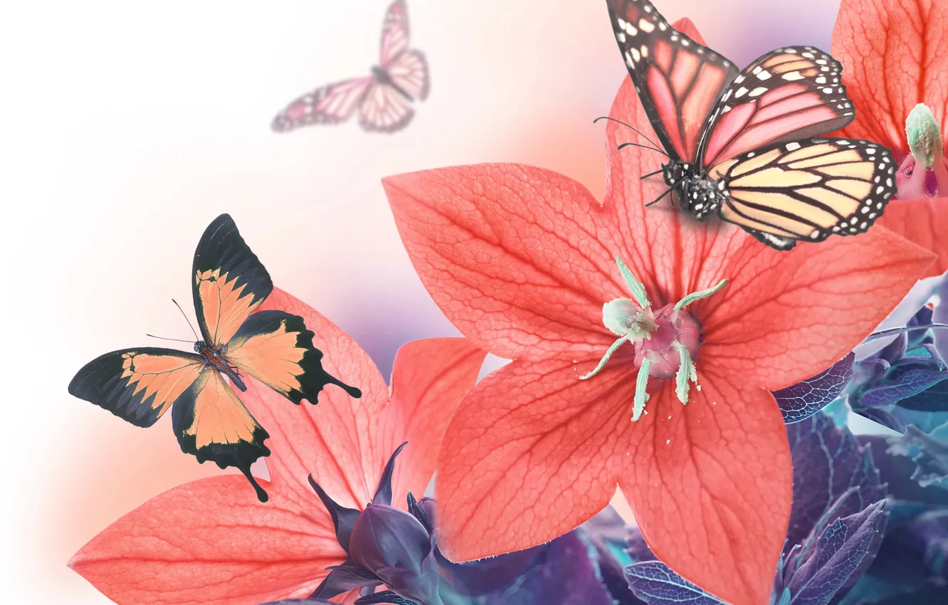 Photo wallpaper leaves, butterfly, petals, bells, flowering