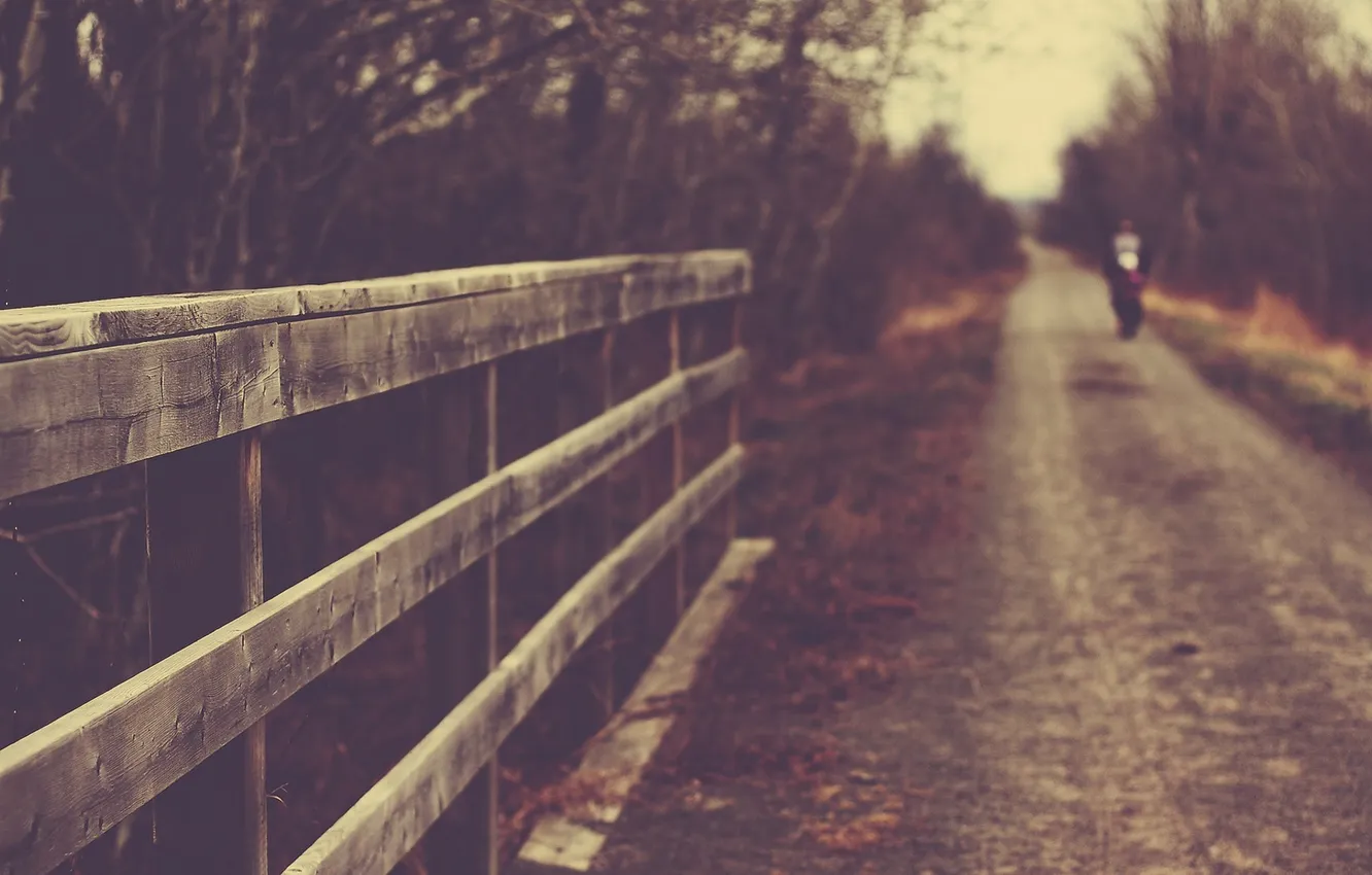 Photo wallpaper road, forest, trees, the fence