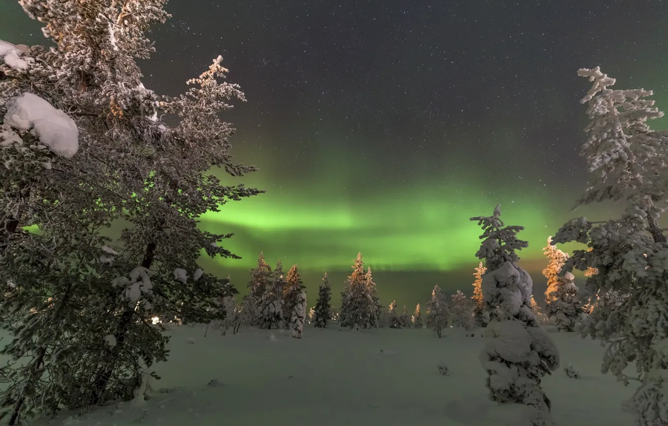 Photo wallpaper snow, landscape, night, nature, Northern lights, North, tree
