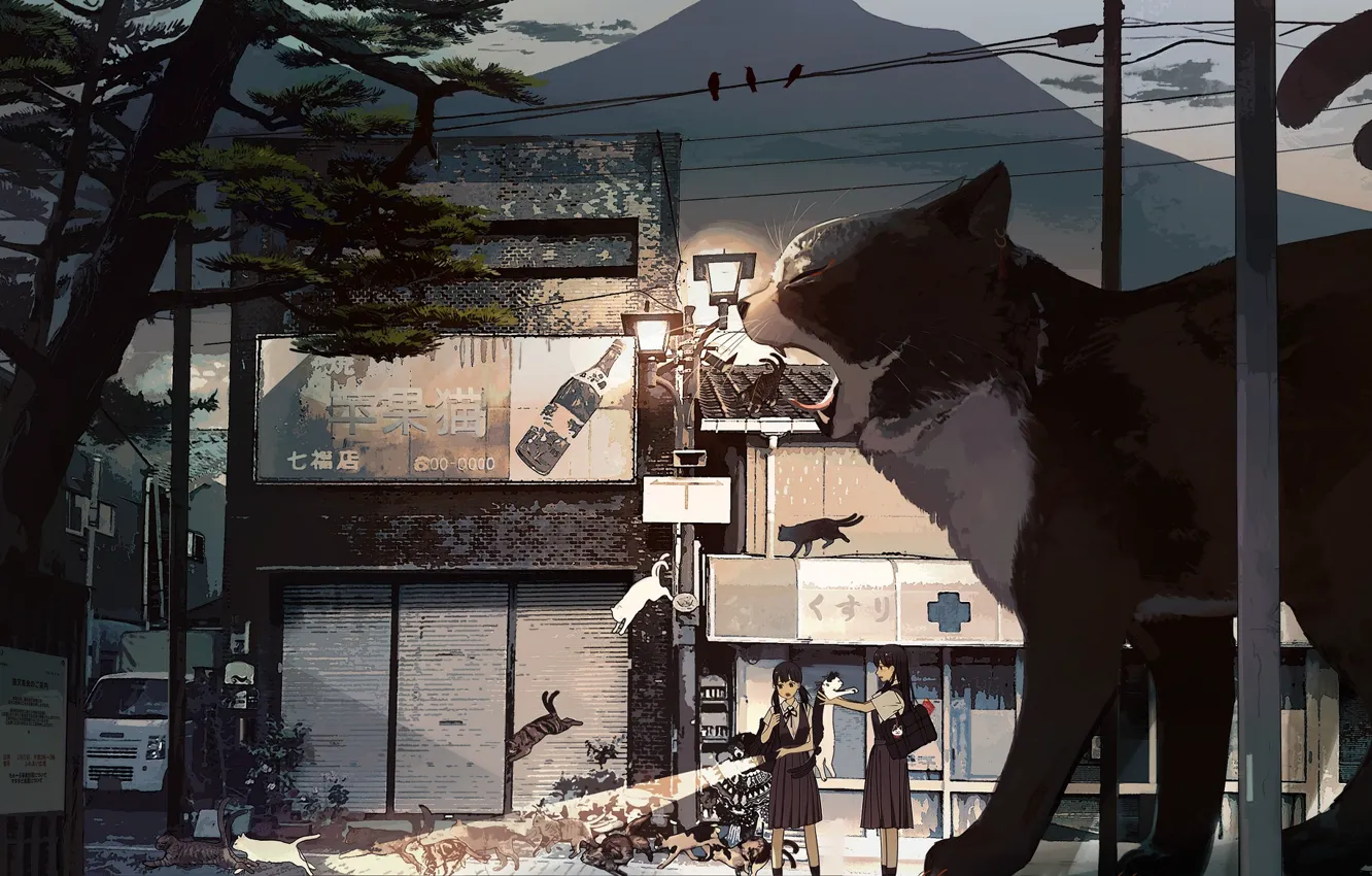 Photo wallpaper cat, cats, girls, street, giant