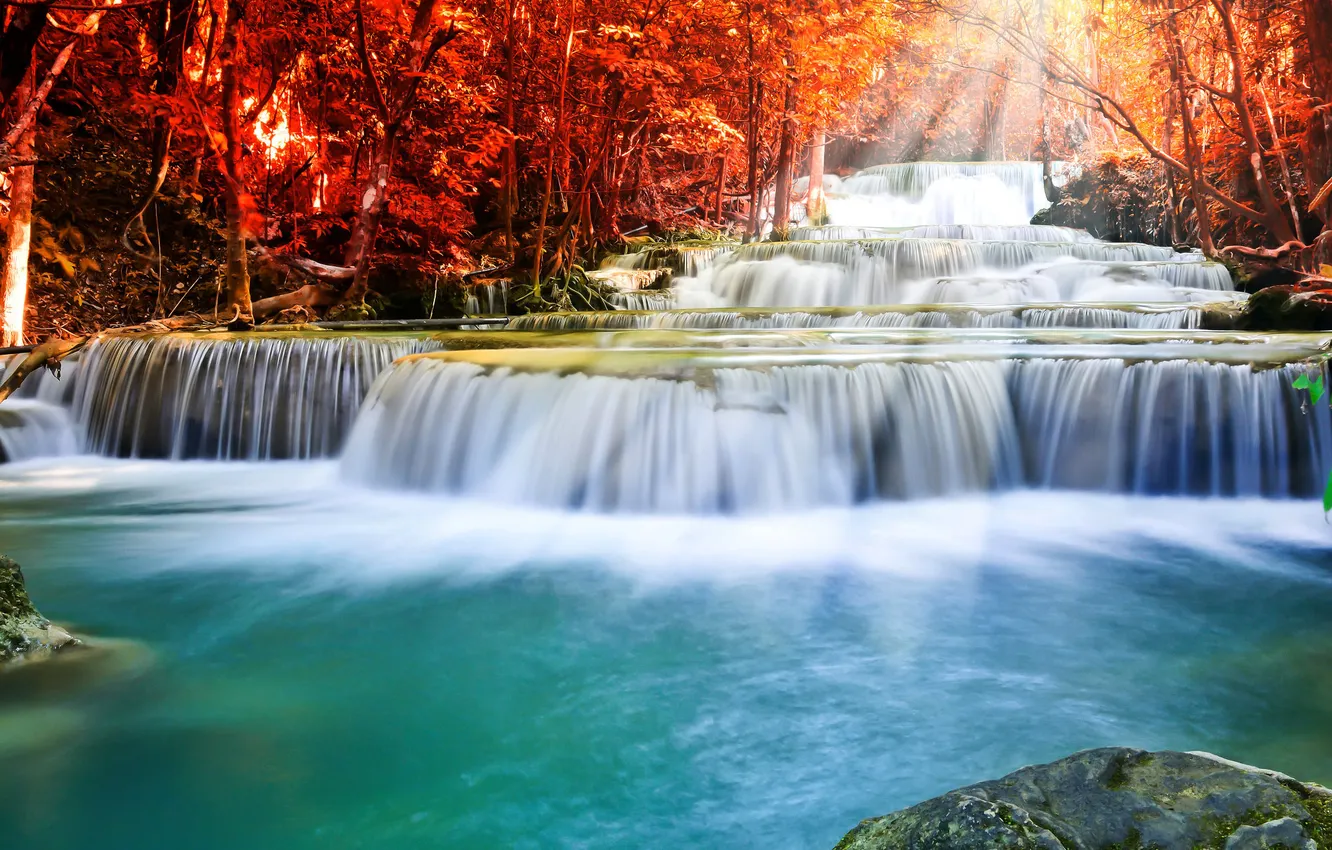 Photo wallpaper autumn, the sun, rays, light, trees, branches, nature, rocks