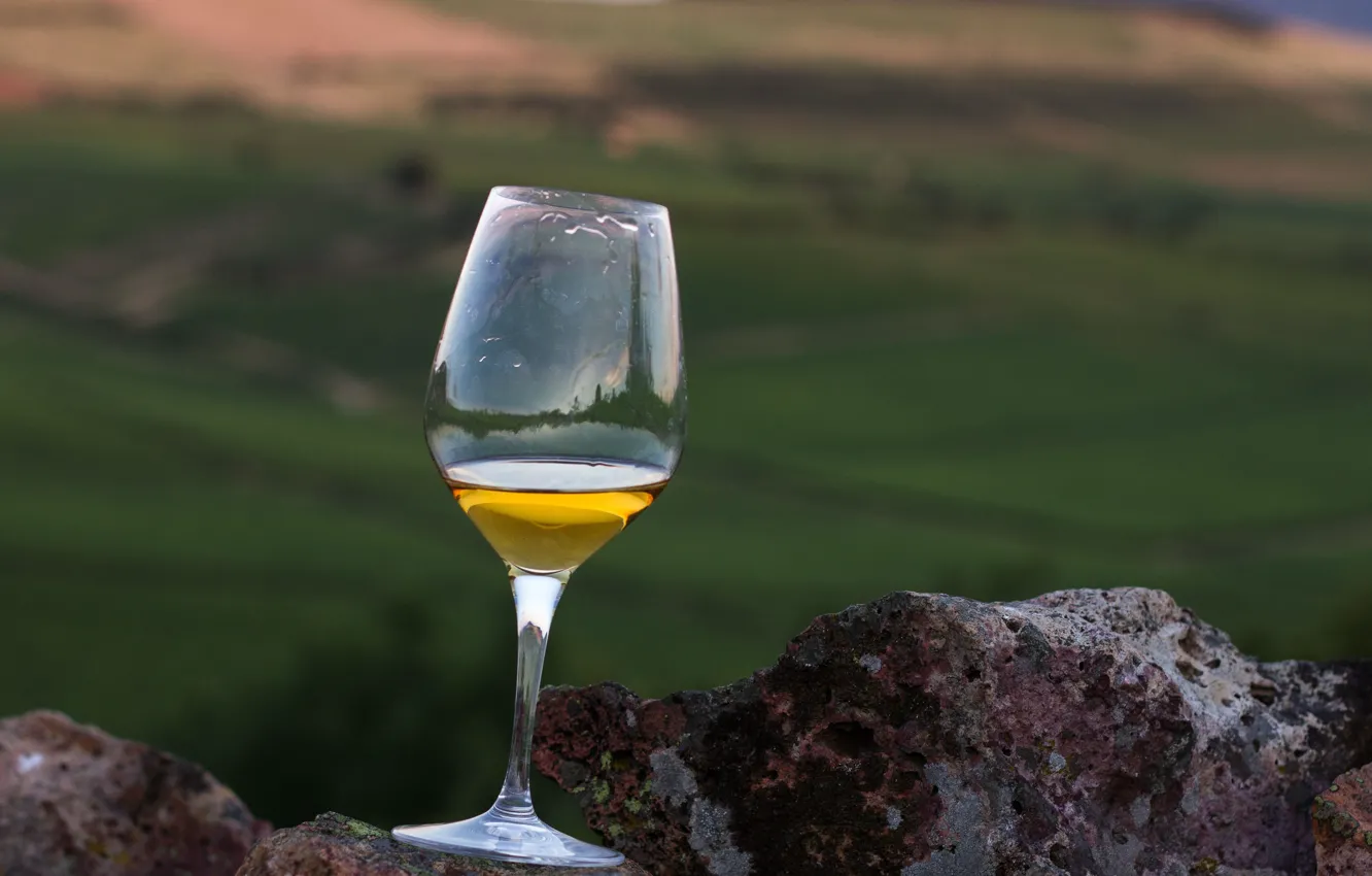 Photo wallpaper glass, wine, rocks, valley, vineyards, white wine