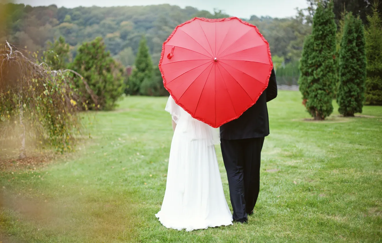 Photo wallpaper forest, heart, Umbrella, the bride, wedding, the groom