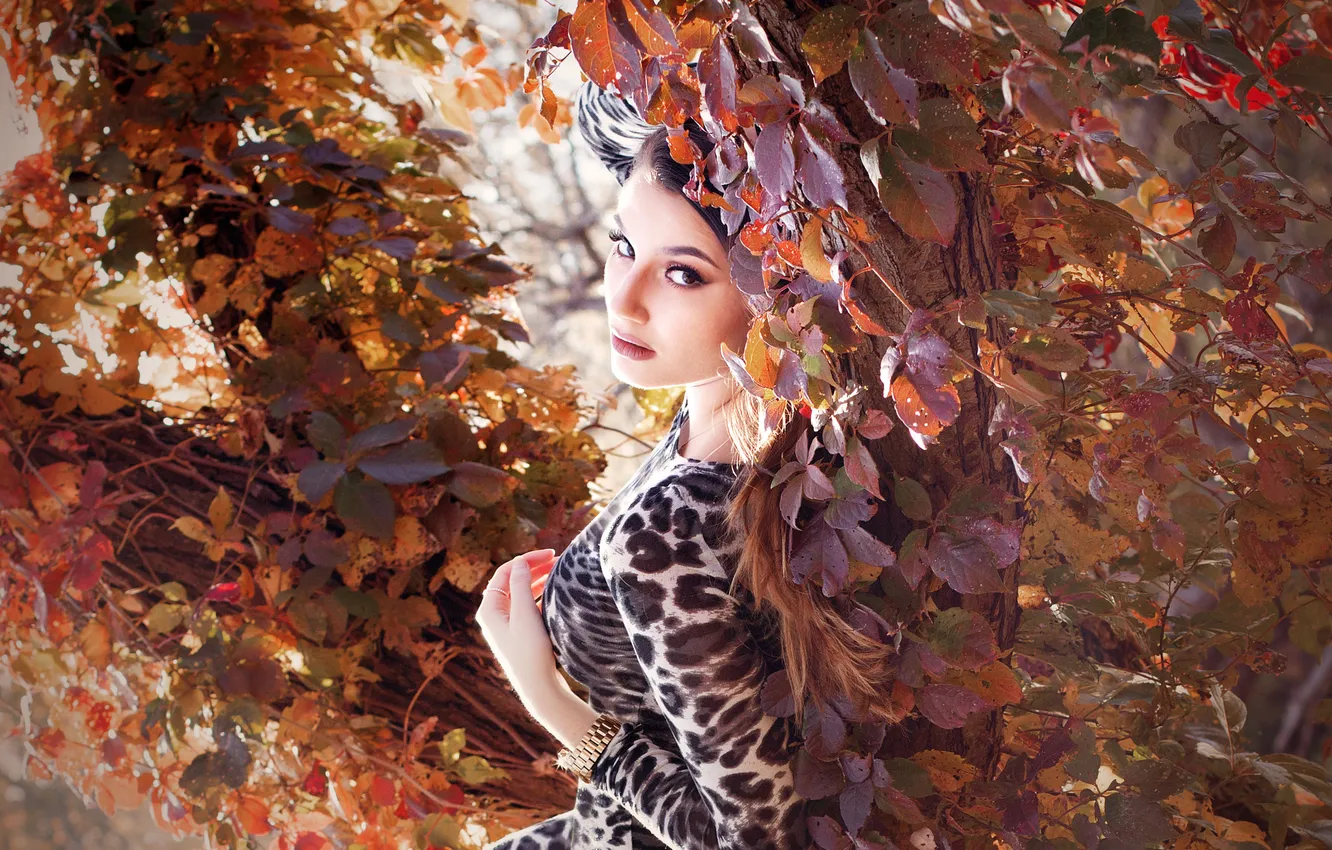 Photo wallpaper autumn, look, leaves, girl, nature, tree, dress, brunette