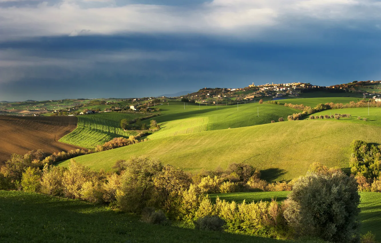 Photo wallpaper field, autumn, the sky, clouds, trees, Italy, blue, the village