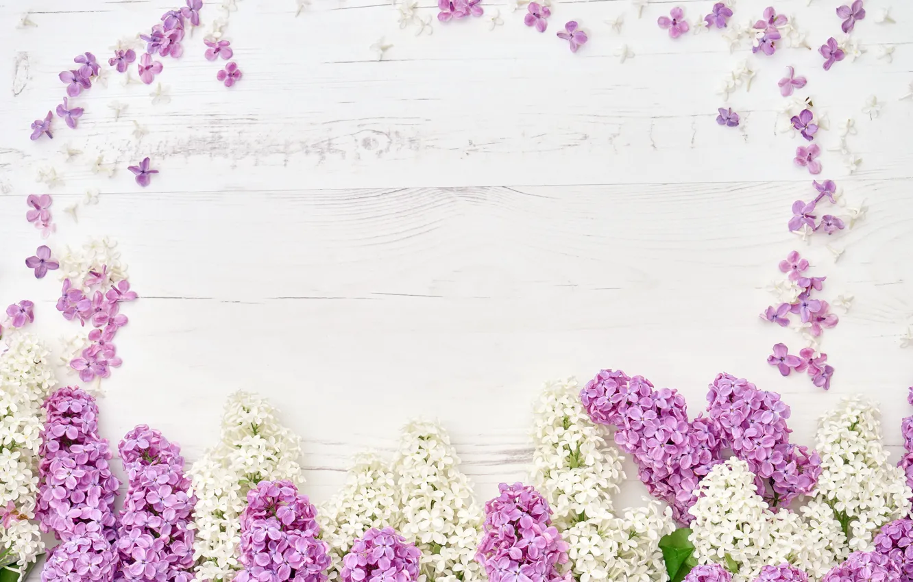 Photo wallpaper flowers, background, spring, lilac