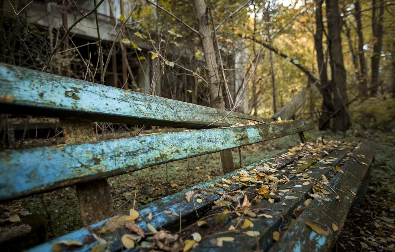 Photo wallpaper autumn, bench, naturalism