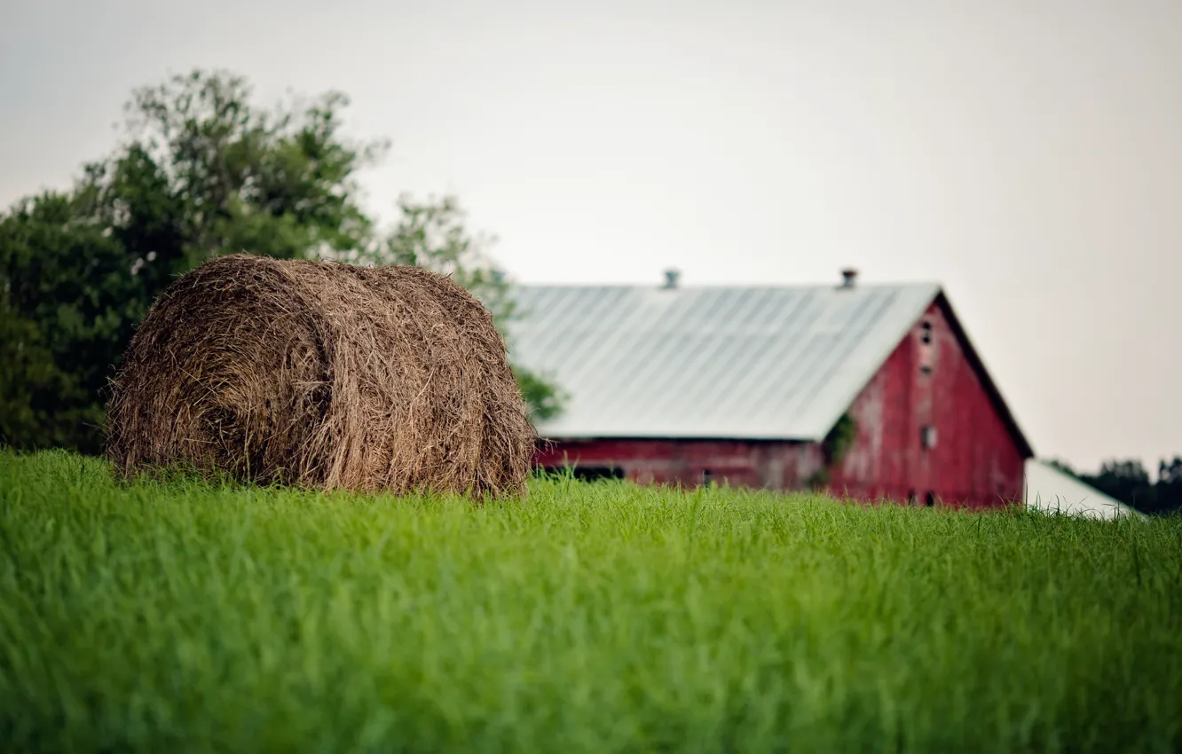 Photo wallpaper summer, grass, bale, straw, farm