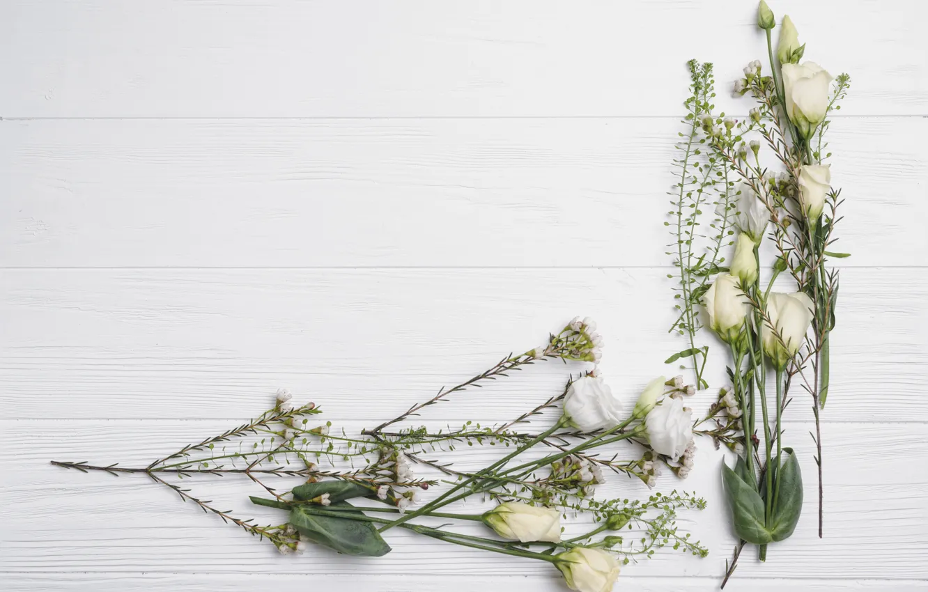 Photo wallpaper flowers, spring, white, white, wood, flowers, spring, eustoma