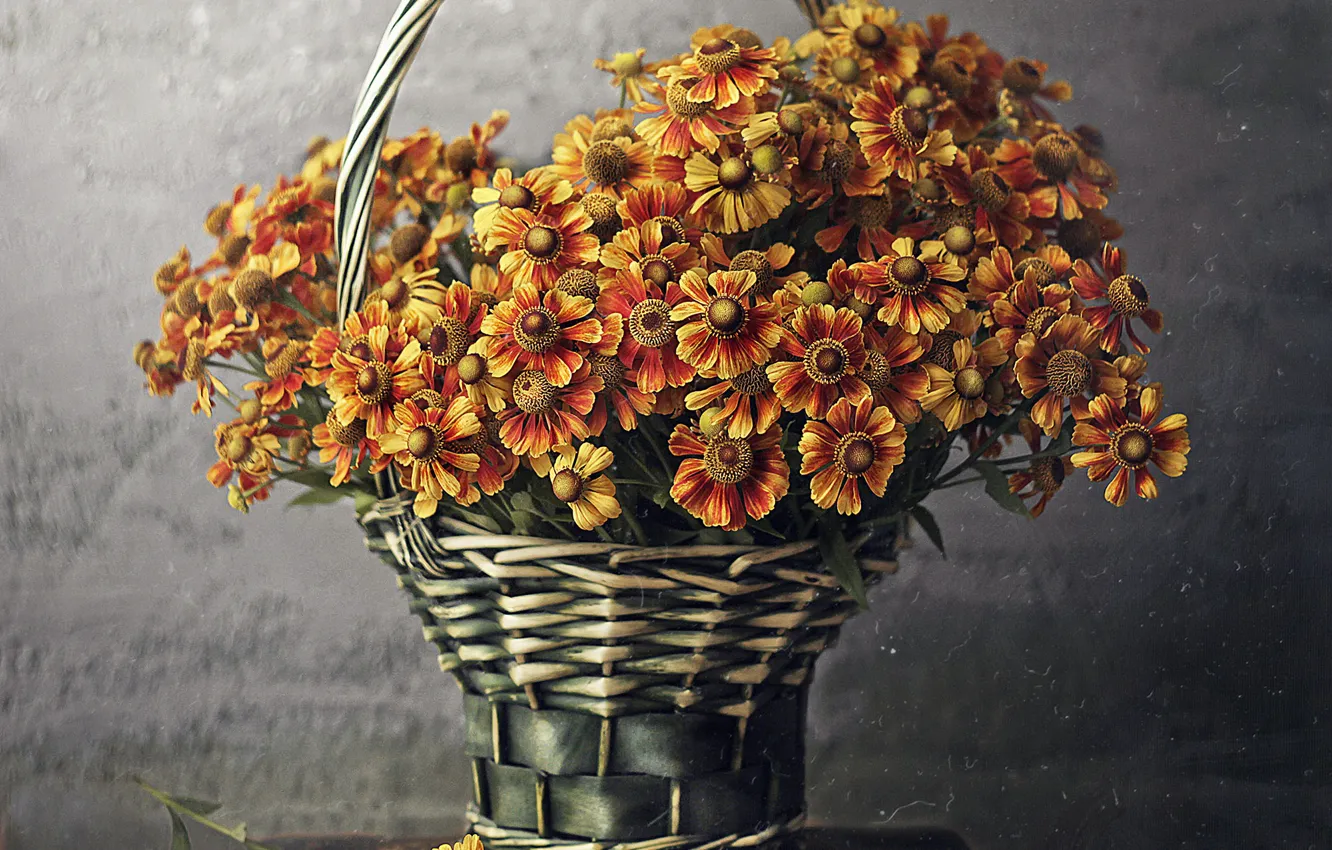 Photo wallpaper flowers, basket, stool, Andreeva Svoboda