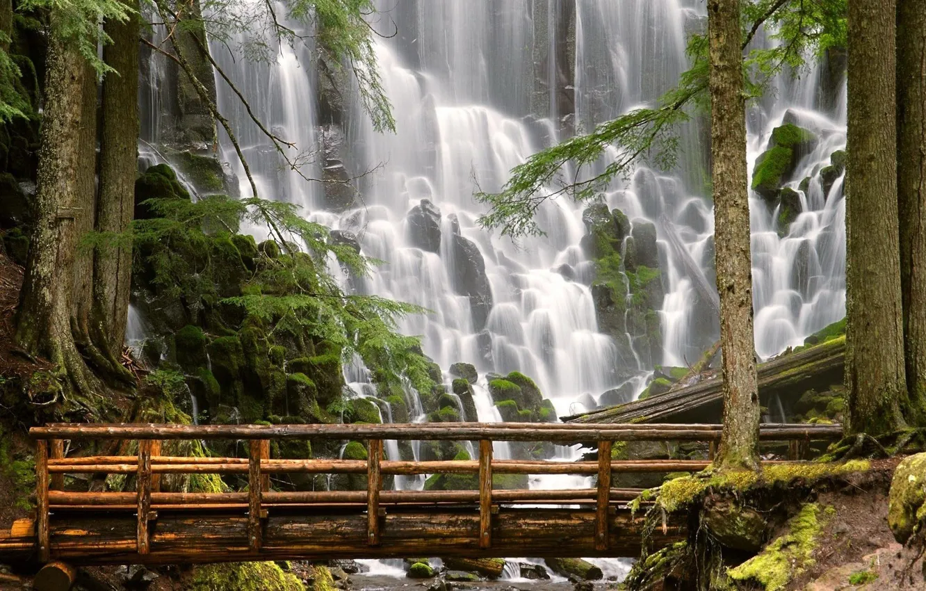 Photo wallpaper trees, mountains, bridge, stones, vodapad