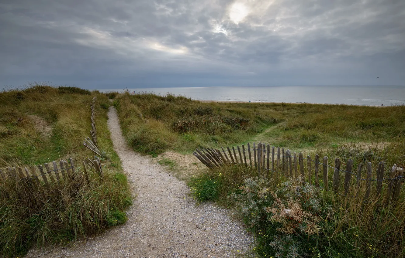 Photo wallpaper road, sea, landscape, the fence