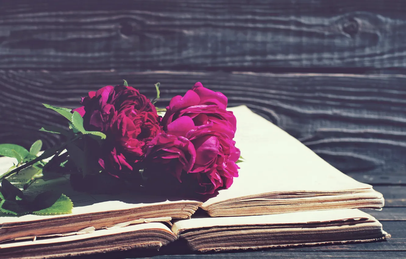 Photo wallpaper roses, vintage, wood, flowers, beautiful, purple, book