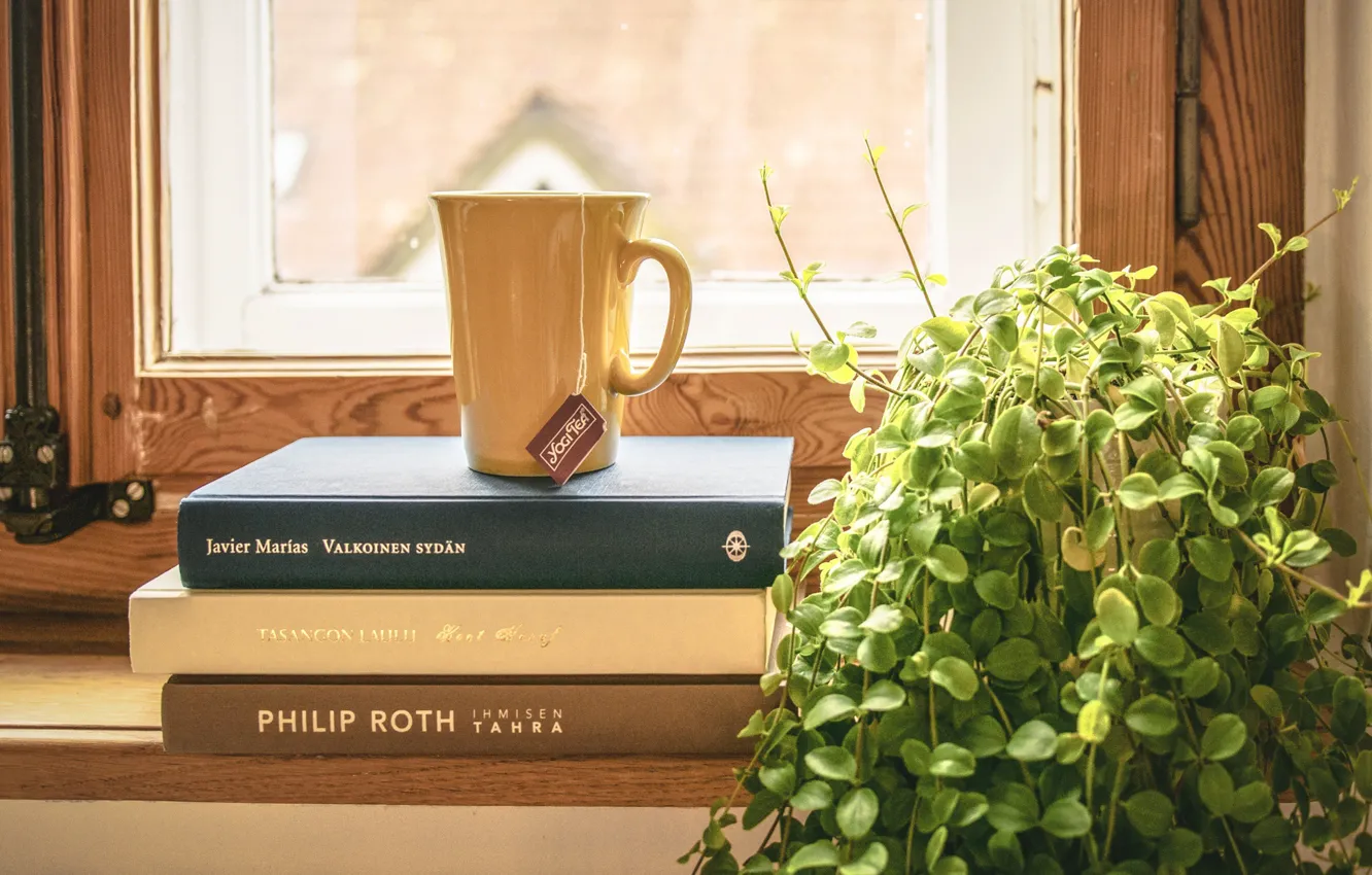 Photo wallpaper books, window, Cup, pot, tea fragrant, podokonnik