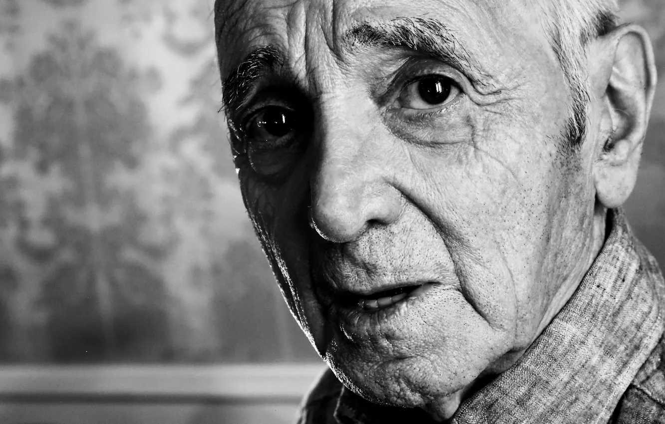 Photo wallpaper portrait, Charles Aznavour